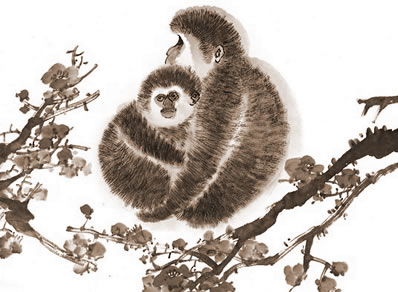 ׷2019ʮФ˳ϸ˵ФŮ