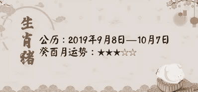 Ļ1220199Ʒ