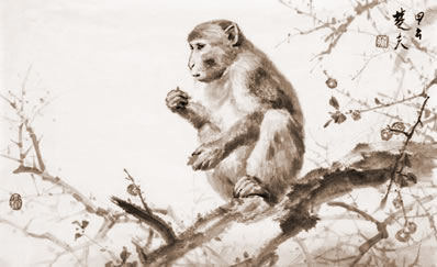 ׷2019ʮФ˳ϸ˵ФŮ