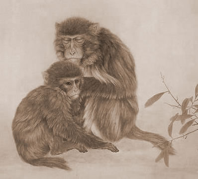 ׷2019ʮФ˳ϸ˵ФŮ