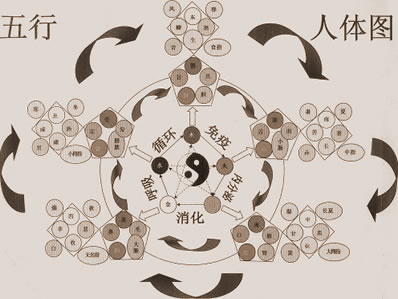 鿴ǰ