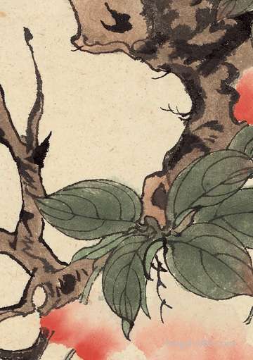梦到两只白狼围攻_周公解梦之两只白狼围攻_梦见两只白狼围攻什