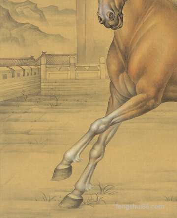 端午出世的狗宝宝命好么?是否好命?