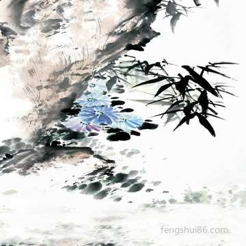 住房洗手间挑选什么样的门帘子最能提高本人运