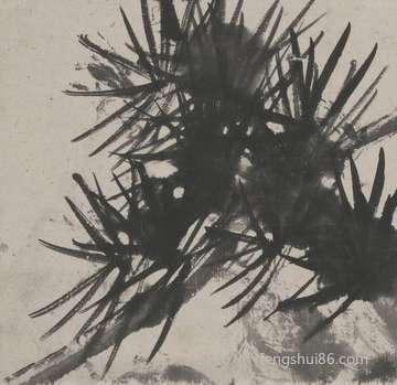 烂漫不停息,白色情人节图片欣赏