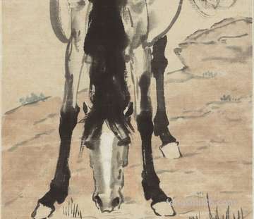 房子合理布局风水学如何布局好