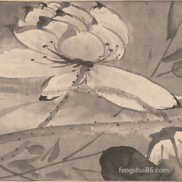 八字预测使用寿命长度:哪些八字长寿命