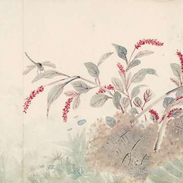 梦到菠萝长在树上_周公解梦之菠萝长在树上_梦见菠萝长在树上什