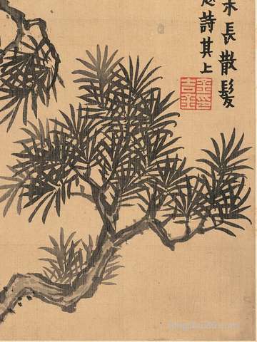 瘦下半身吃啥比较好:多吃这几种