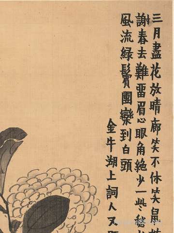 梦到抱着羊_周公解梦之抱着羊_梦见抱着羊预示什么