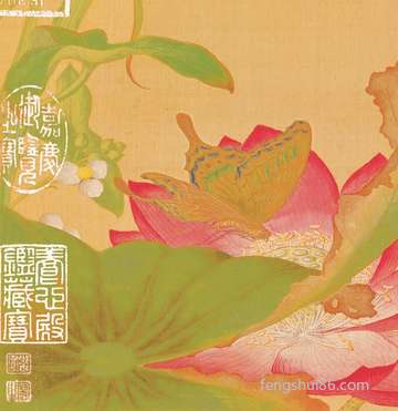 梦到菜撒了_周公解梦之菜撒了_梦见菜撒了预示什么
