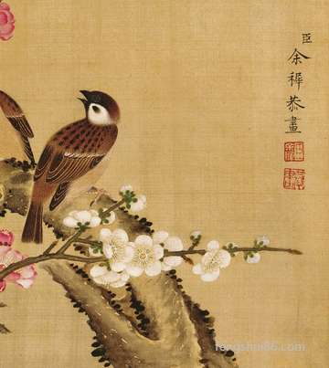 闽南地区夏天消暑健康饮品:石花糕粉是啥