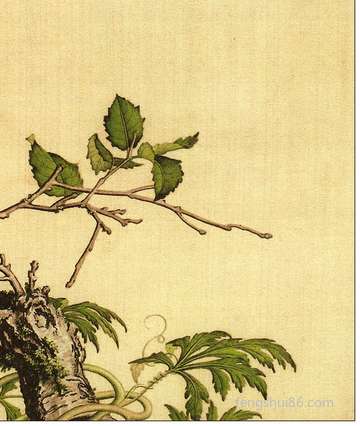 总被欺负依然选择善良的属相女