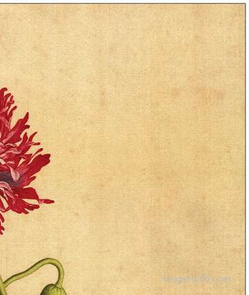 冬至鬼节,冬至节气是否鬼节