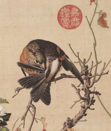梦到猴子与狗_周公解梦之猴子与狗_梦见猴子与狗预示什么