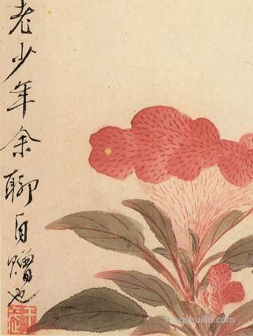 心很大:考前前一天才刚开始备考的属相