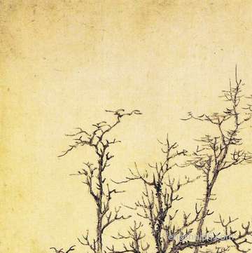 大客厅装修吊顶必须留意什么风水运势才可以提高?