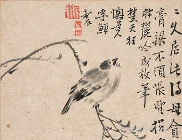 女性吃什么补血最好是