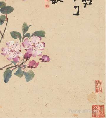 梦到两只蝴蝶_周公解梦之两只蝴蝶_梦见两只蝴蝶预示什么