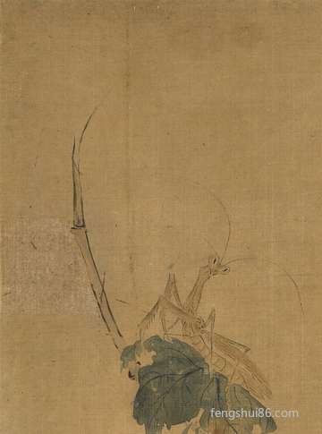 三伏天中伏代表什么意思:调养身子的益处