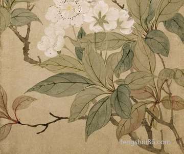 梦到芭蕾舞女孩_周公解梦之芭蕾舞女孩_梦见芭蕾舞女孩预示什么