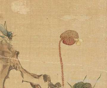 阴历腊月二十二出世的女孩儿命好么?