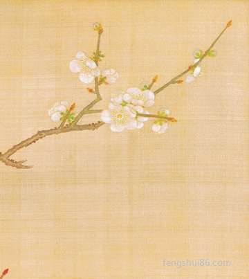 梦到苹果树_周公解梦之苹果树_梦见苹果树预示什么