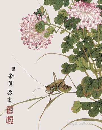 梦到买柚子_周公解梦之买柚子_梦见买柚子预示什么