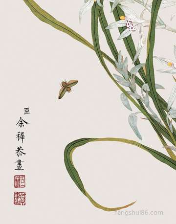 梦到阴唇_周公解梦之阴唇_梦见阴唇预示什么