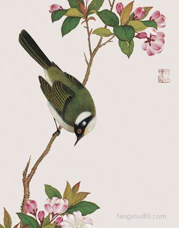 农历三月二十是什么日子,新历是几月几号?