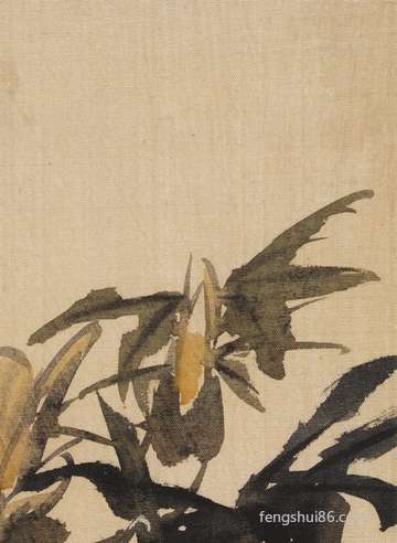 房屋门口有竹海会危害风水学吗:有哪些注重