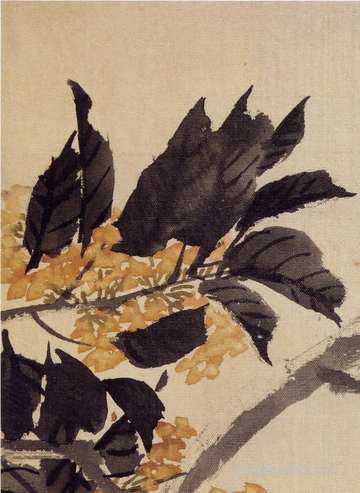 梦到彩色的鸟_周公解梦之彩色的鸟_梦见彩色的鸟预示什么