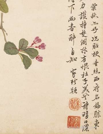 梦到桃园_周公解梦之桃园_梦见桃园预示什么