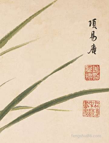 先涩后甜:意大利腌橄榄