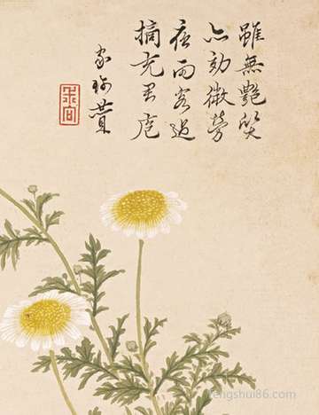 梦到别人泼水_周公解梦之别人泼水_梦见别人泼水预示什么