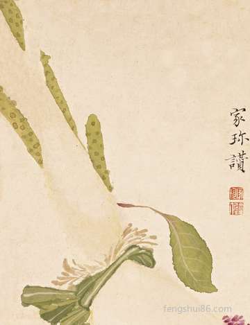 不要看名与利重视本质涵养的属相