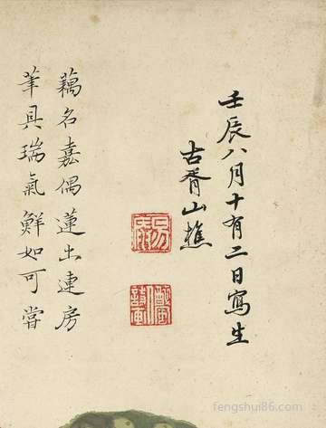 松茸的功效:怎么做好吃