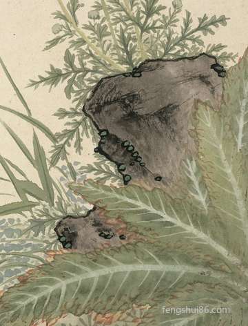 春分节气出世的小宝宝命好么?