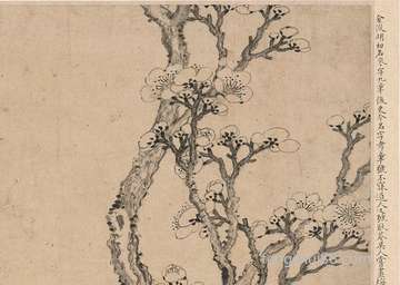 鱼忽然去世了预兆挡灾吗:养的鱼死了怎么处理