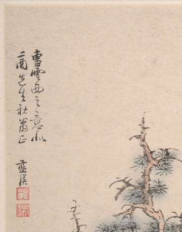 属猴的人在冬至节气出世运势好么?属龙运势剖析