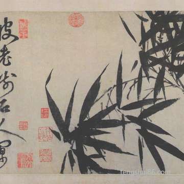 这种属相的语句总会有慰藉人心的力量