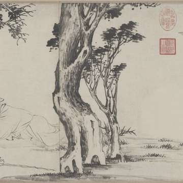 梦到摘酸枣_周公解梦之摘酸枣_梦见摘酸枣预示什么