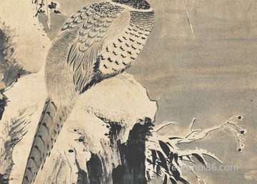 吃芒果的好处,能天天吃吗