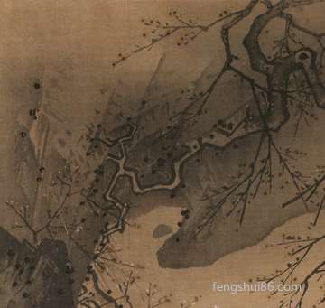 立秋来临代表什么意思:合适养什么绿色植物
