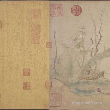 梦到凤仙花_周公解梦之凤仙花_梦见凤仙花预示什么