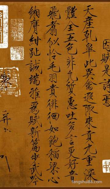 农历十一月十一日出世的男孩儿运势怎么样?