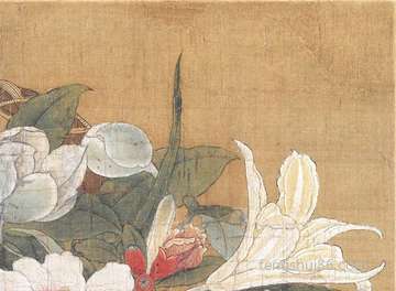 梦到大牙_周公解梦之大牙_梦见大牙预示什么