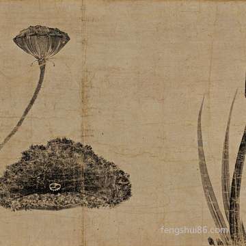 梦到杀不死的虫子_周公解梦之杀不死的虫子_梦见杀不死的虫子什