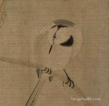 孕妇梦到猫狗_周公解梦之孕妇梦到猫狗_做梦孕妇梦到猫狗预示什么