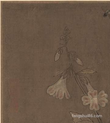 梦到麻黄_周公解梦之麻黄_梦见麻黄预示什么